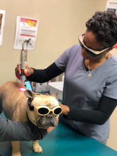 Laser Therapy Bristow, OK